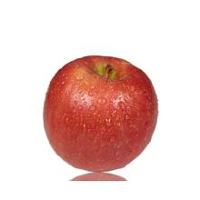 食用农产品市场全景 从苹果种植到批发终端的产业链剖析