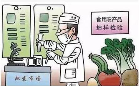 守护舌尖上的安全——加强食用农产品批发环节安全监管