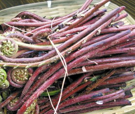 永兴润橙惠农产品经营部 优质食用农产品批发与供应的优选合作伙伴