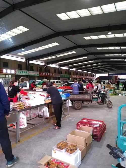 中贸农产品综合批发市场 从基地到市场，蔬菜区一站式采购与每日参考价解析