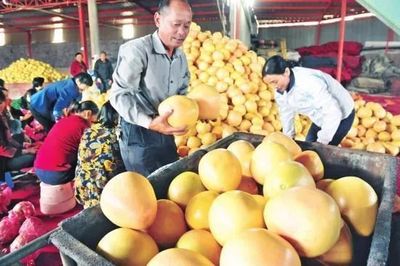 厉害了！湖北19个特产受国家保护，以你家乡命名食用农产品批发